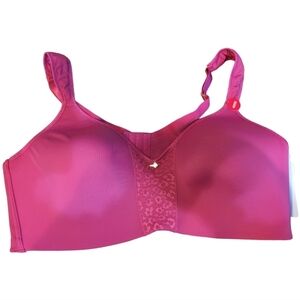 NEW Ashley Stewart Very Berry Butterfly Bra Size 42DD